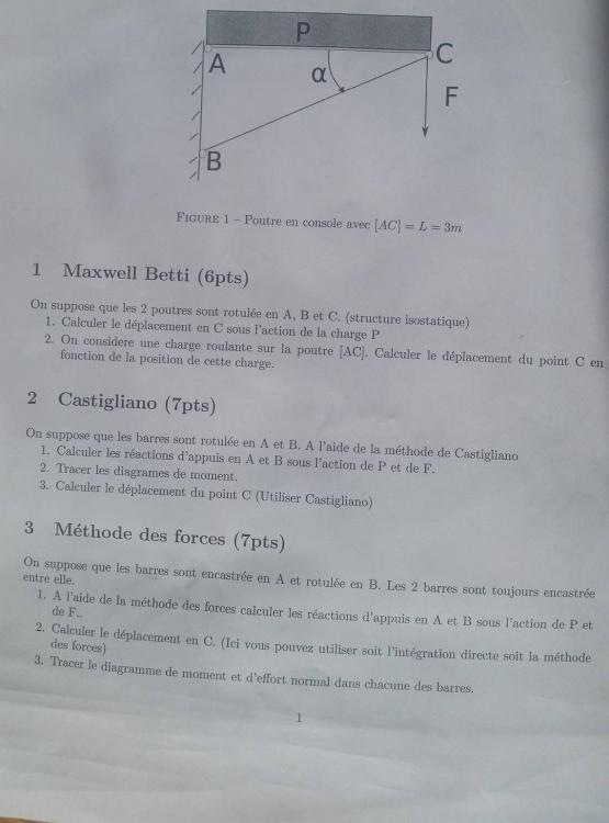 14037513_10210164228164612_1192859278_o.jpg